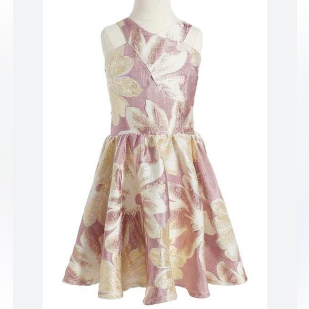 Miss Behave Girls Floral Kids Dress in Pink, Cream & Gold. Size 12 Nordstrom